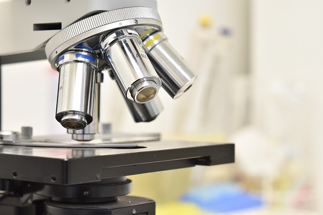 聚氨酯高回彈聚醚在汽車座椅、靠背和頭枕中的應(yīng)用及性能評(píng)估